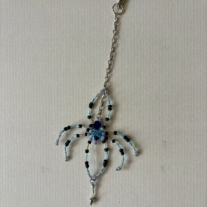 Araignée bleu